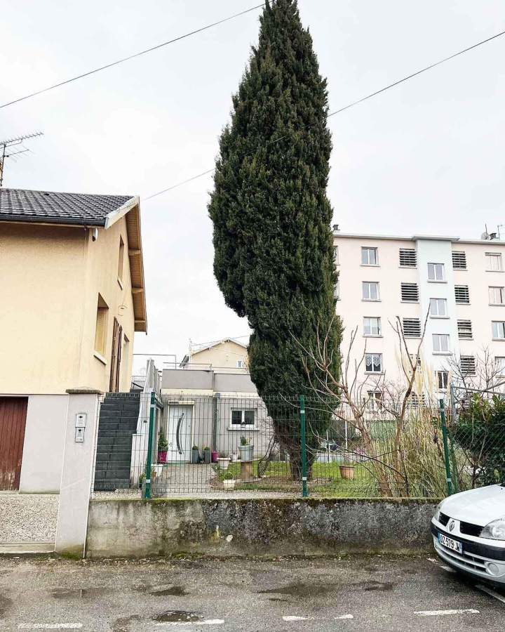 Expert en tailles de haies Grenoble