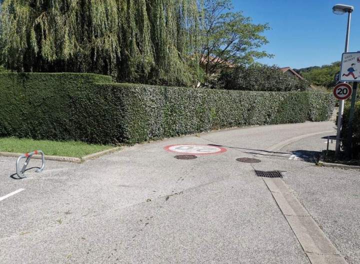 Entretien de haies Grenoble