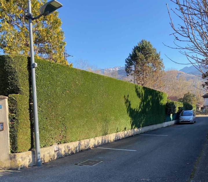 Des paysagistes compétents pour donner des belles formes à vos haies