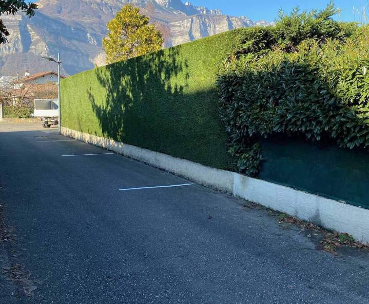 Entretien de haies Grenoble