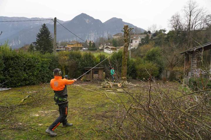 Travaux d'abattage Grenoble